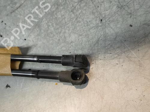 tailgate-lift-support-fiat-punto-199_-2012-33122934 main image