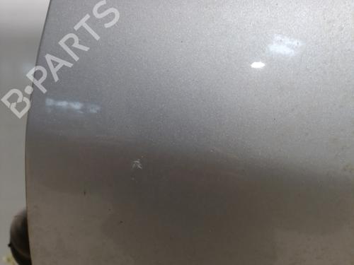 Left front door PEUGEOT 206+ (2L_, 2M_) 1.4 HDi eco 70 | BP23823478C2 