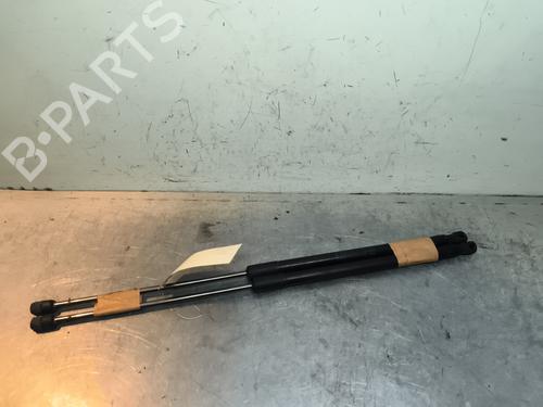 Tailgate lift support FORD FOCUS IV (HN) 1.0 EcoBoost | BP31257703C138