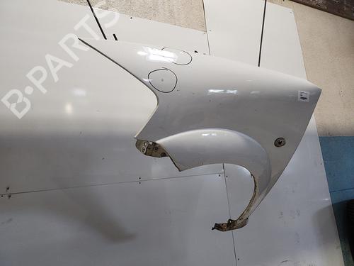 Left front fenders CITROËN C3 I (FC_, FN_) 1.1 i | BP26894004C41 
