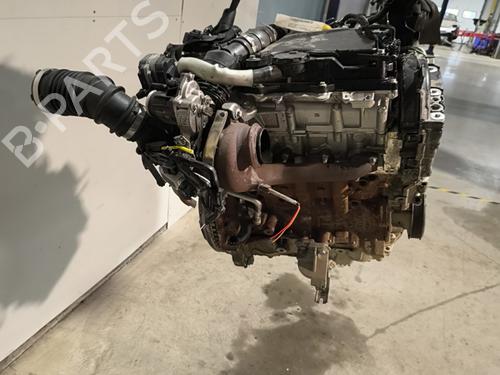 Used Engine RENAULT KANGOO Express (FW0/1_) 1.5 dCi 95 (FW16) (95 hp) 29893849