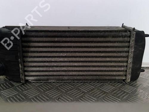 Used Intercooler PEUGEOT 207 (WA_, WC_) 1.6 HDi (90 hp) 29481582
