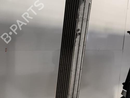 Intercooler RENAULT MEGANE III Hatchback (BZ0/1_, B3_) 1.5 dCi (BZ09, BZ0D, BZ1W, BZ29, BZ14) | BP25867233M30 