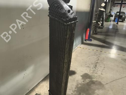 Intercooler RENAULT ESPACE IV (JK0/1_) 2.0 dCi (JK03, JK04, JK1C, JK1G, JK1J, JK1K) | BP33870281M30 - Image 3