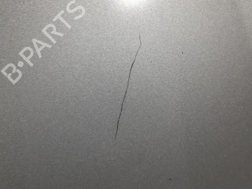 Used Hood SMART FORFOUR (454) 1.5 CDI (454.000) (68 hp) 21705558
