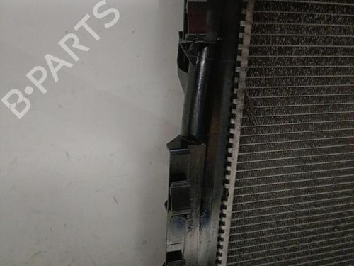 Used Water radiator Water radiator RENAULT SCÉNIC II (JM0/1_) 1.5 dCi (JM1F) (86 hp) 25130621 25130621