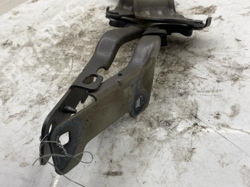 hingedoor-check-strap-renault-clio-iii-br01-cr01-2005-2006-2007-2008-2009-2010-2011-2012-2013-2014-39640922 main image