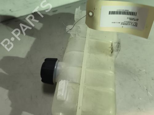 Used Expansion tank RENAULT ZOE (BFM_) ZOE (BFMC, BFMD) (136 hp) 26177476