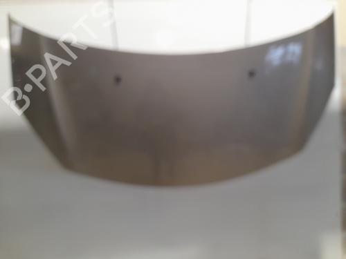 hood-citroen-c3-ii-sc_-14-hdi-70-sc8hzc-sc8hr0-sc8hp4-00007901r1-2009-22313457 main image