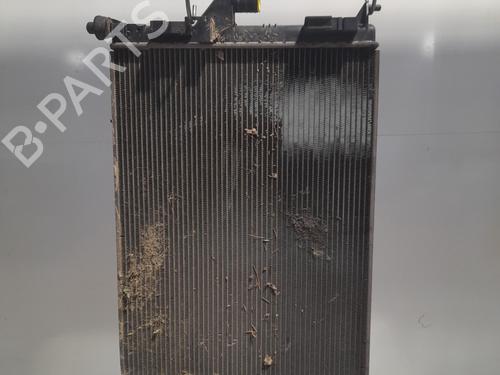 Used Water radiator Water radiator DACIA SANDERO 1.4 MPI LPG (72 hp) 24222693 24222693