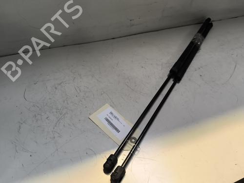 Tailgate lift support RENAULT MEGANE III Coupe (DZ0/1_) 2.0 TCe (DZ1N) | BP24222117C138 