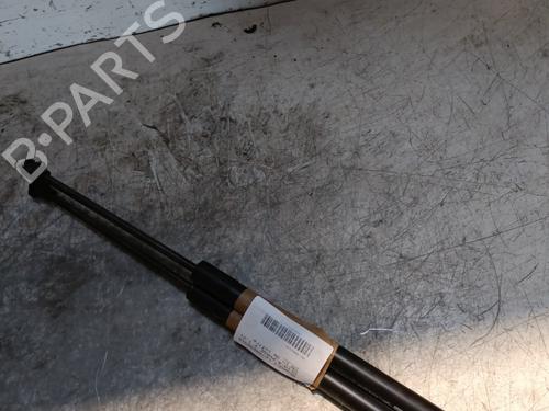 Tailgate lift support RENAULT CLIO IV (BH_) 1.2 16V | BP22789822C138 