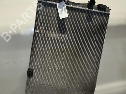 Used Water radiator NISSAN QASHQAI I (J10, NJ10) 2.0 dCi (150 hp) 30874599