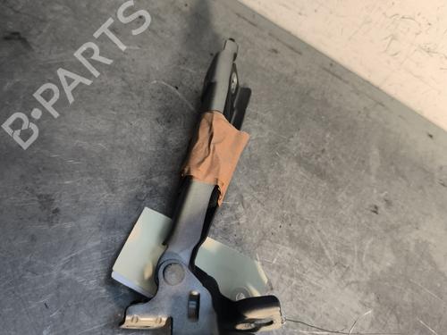 hingedoor-check-strap-citroen-c3-ii-sc_-2009-30154556 main image