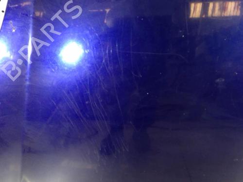 Hood FIAT BRAVO II (198_) 1.9 D Multijet (198AXB1A) | BP22032066C1 