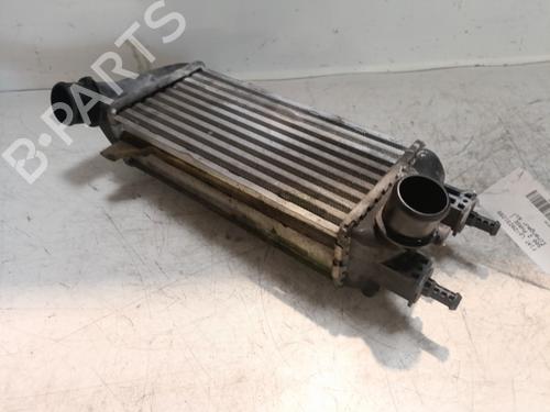 Used Intercooler FIAT 500 (312_) 1.3 D Multijet (312AXB1A) (75 hp) 22034792