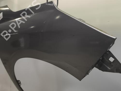 Right front fenders CITROËN C4 II (NC_) 1.6 BlueHDi 120 | BP24983582C42 