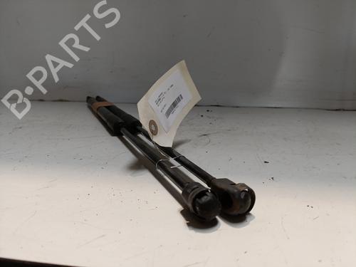 Tailgate lift support AUDI A1 (8X1, 8XK) 1.6 TDI | BP24196216C138 