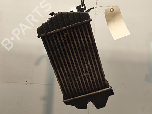 Intercooler Intercooler 38270119 38270119