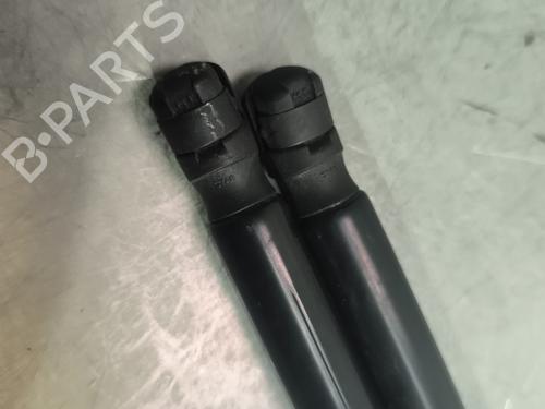 Tailgate lift support RENAULT KADJAR (HA_, HL_) 1.5 BLUE dCi 115 (HLA6) | BP29732939C138