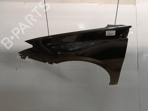 Left front fenders RENAULT LAGUNA III (BT0/1) 1.5 dCi (BT00, BT0A, BT0T, BT1J) | BP29003683C41 