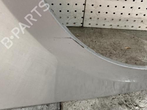 Right front fenders SEAT TOLEDO III (5P2) 1.9 TDI | BP21718912C42 