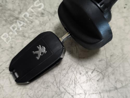 Used Electronic module PEUGEOT 208 I (CA_, CC_) 1.6 HDi (114 hp) 24551222