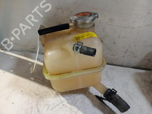 Used Expansion tank RENAULT KOLEOS I (HY_) 2.0 dCi (HY0K) (150 hp) 25336678