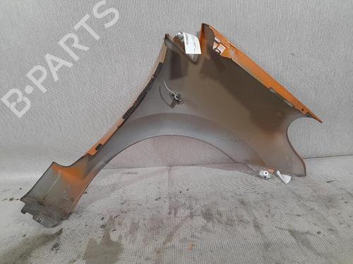 Left front fenders CITROËN C3 Pluriel (HB_) 1.4 | BP21718716C41 