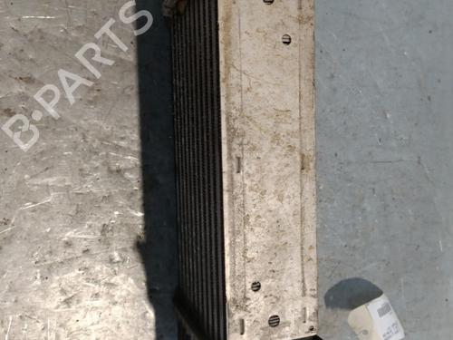 Used Intercooler Intercooler CITROËN JUMPY II Van 1.6 HDi 90 16V (90 hp) 22421427 22421427