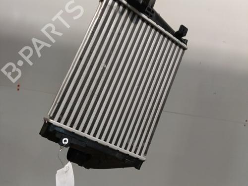 Intercooler CITROËN JUMPY III Van (V_) 1.5 BlueHDi 120 | BP28078378M30 