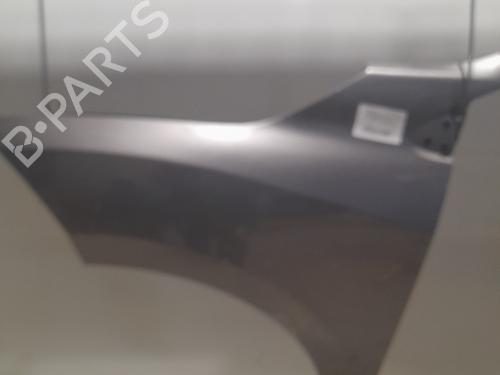 Left front fenders RENAULT MEGANE III Hatchback (BZ0/1_, B3_) 1.5 dCi (BZ09, BZ0D, BZ1W, BZ29, BZ14) | BP22556410C41 