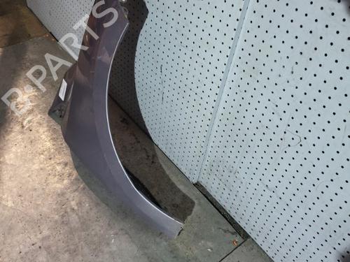 Right front fenders RENAULT MEGANE III Hatchback (BZ0/1_, B3_) 1.6 16V (BZ1B, BZ1H) | BP21713382C42 