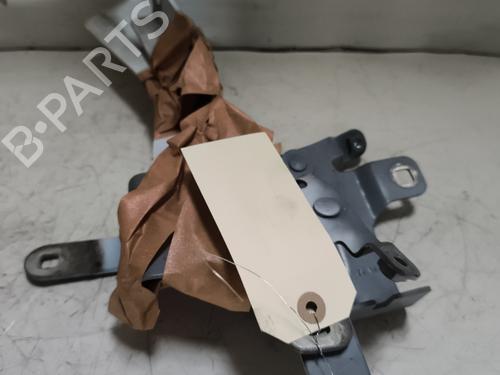 Hinge/Door check strap RENAULT CLIO IV (BH_) 1.5 dCi 75 | BP24526576C146