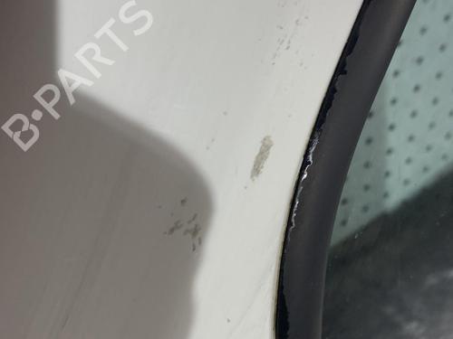 Left front door FIAT DOBLO Box Body/MPV (223_) 1.3 D Multijet | BP21701539C2 