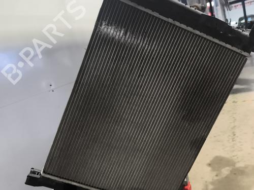 water-radiator-dacia-duster-hs_-2010-2011-2012-2013-2014-2015-2016-2017-2018-32320007 main image
