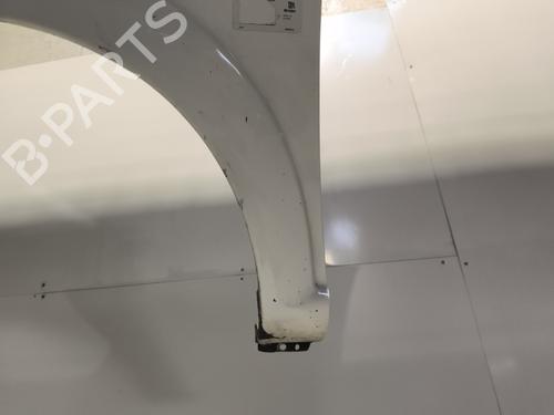 Left front fenders CITROËN C3 I (FC_, FN_) 1.4 HDi | BP25274447C41 