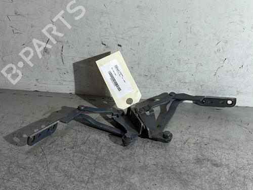 Used Hinge/Door check strap RENAULT AVANTIME (DE0_) 2.2 dCi (DE01) (150 hp) 26728835