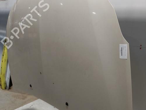 Hood LANCIA DELTA III (844_) 1.4 (844.AXB1A) | BP22893653C1 
