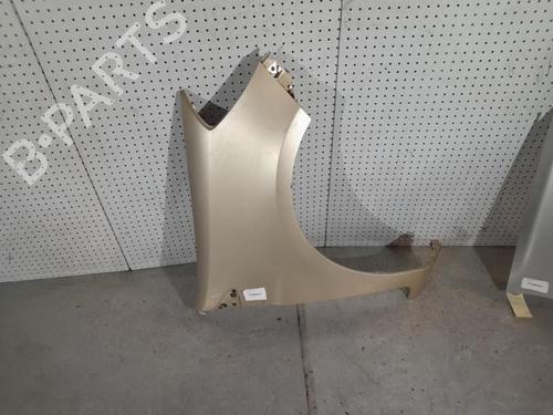 Right front fenders RENAULT CLIO III (BR0/1, CR0/1) 1.5 dCi (BR17, CR17) | BP21706064C42 