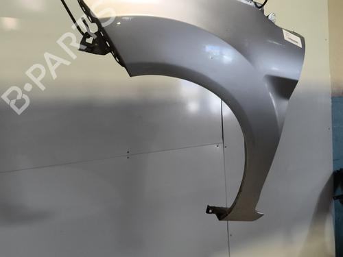 Left front fenders FORD FIESTA VI (CB1, CCN) 1.4 TDCi | BP23979587C41 