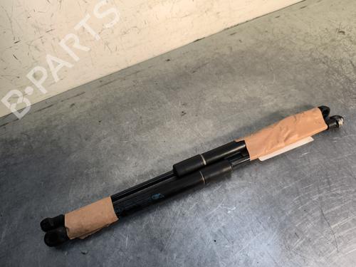 tailgate-lift-support-renault-twingo-ii-cn0_-2007-30357333 main image