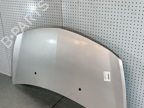 Hood RENAULT CLIO III (BR0/1, CR0/1) 1.5 dCi (C/BR0G, C/BR1G) | BP21695680C1 