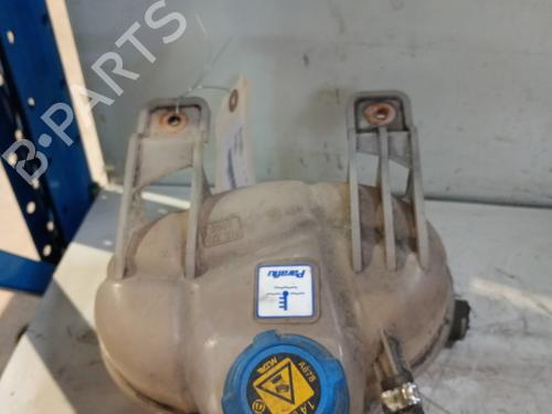 Used Expansion tank FIAT DOBLO Cargo (263_) 1.6 D Multijet (263WXD1B, 263WXR1B, 263WXX1B, 263ZXD1B,... (105 hp) 25034197