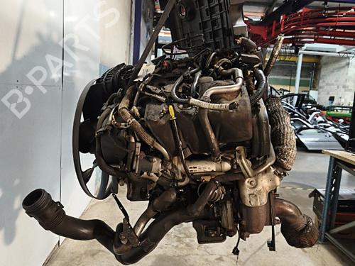 Engine LAND ROVER DISCOVERY III (L319) 2.7 TD 4x4 | BP40434653M1 - Image 6