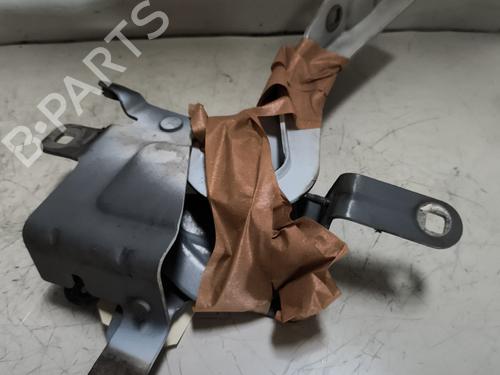 Hinge/Door check strap RENAULT CLIO IV (BH_) 1.5 dCi 75 | BP24526576C146