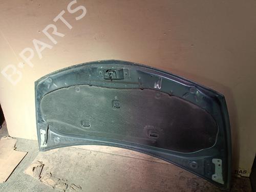 Hood RENAULT CLIO III (BR0/1, CR0/1) 1.5 dCi (BR17, CR17) | BP21702302C1 