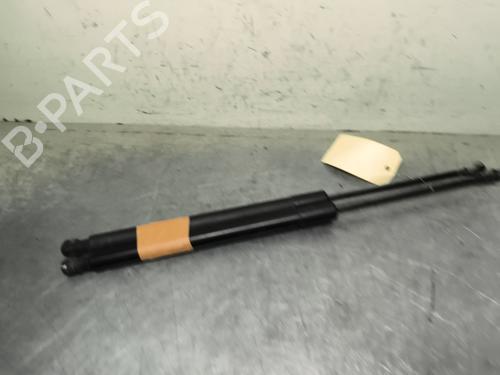 tailgate-lift-support-vw-golf-vii-5g1-bq1-be1-be2-2012-2013-2014-2015-2016-2017-2018-2019-2020-2021-31884423 main image