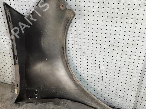 Left front fenders RENAULT CLIO III (BR0/1, CR0/1) 1.5 dCi (BR17, CR17) | BP29348209C41 
