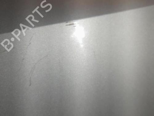Left front fenders RENAULT CLIO III (BR0/1, CR0/1) 1.2 16V (BR02, BR0J, BR11, CR02, CR0J, CR11) | BP21724844C41 
